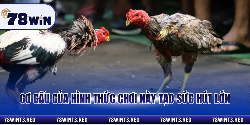 Cơ cấu của hình thức chơi này tạo sức hút lớn