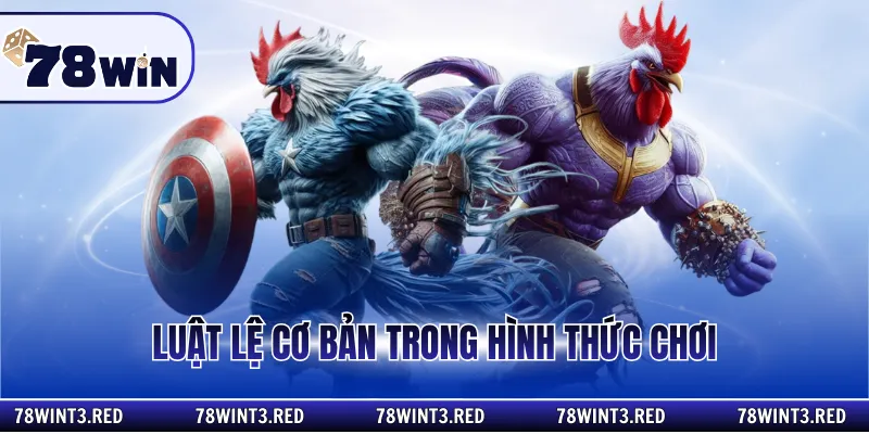 Luật lệ cơ bản trong hình thức chơi
